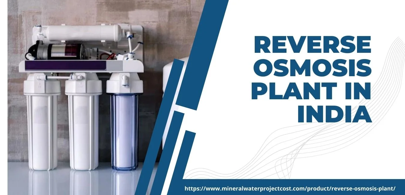 RO Plant Installation Cost